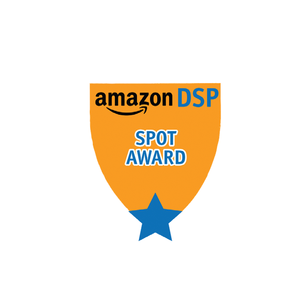 Amazon DSP Orange Spot Award- Motivational Pin