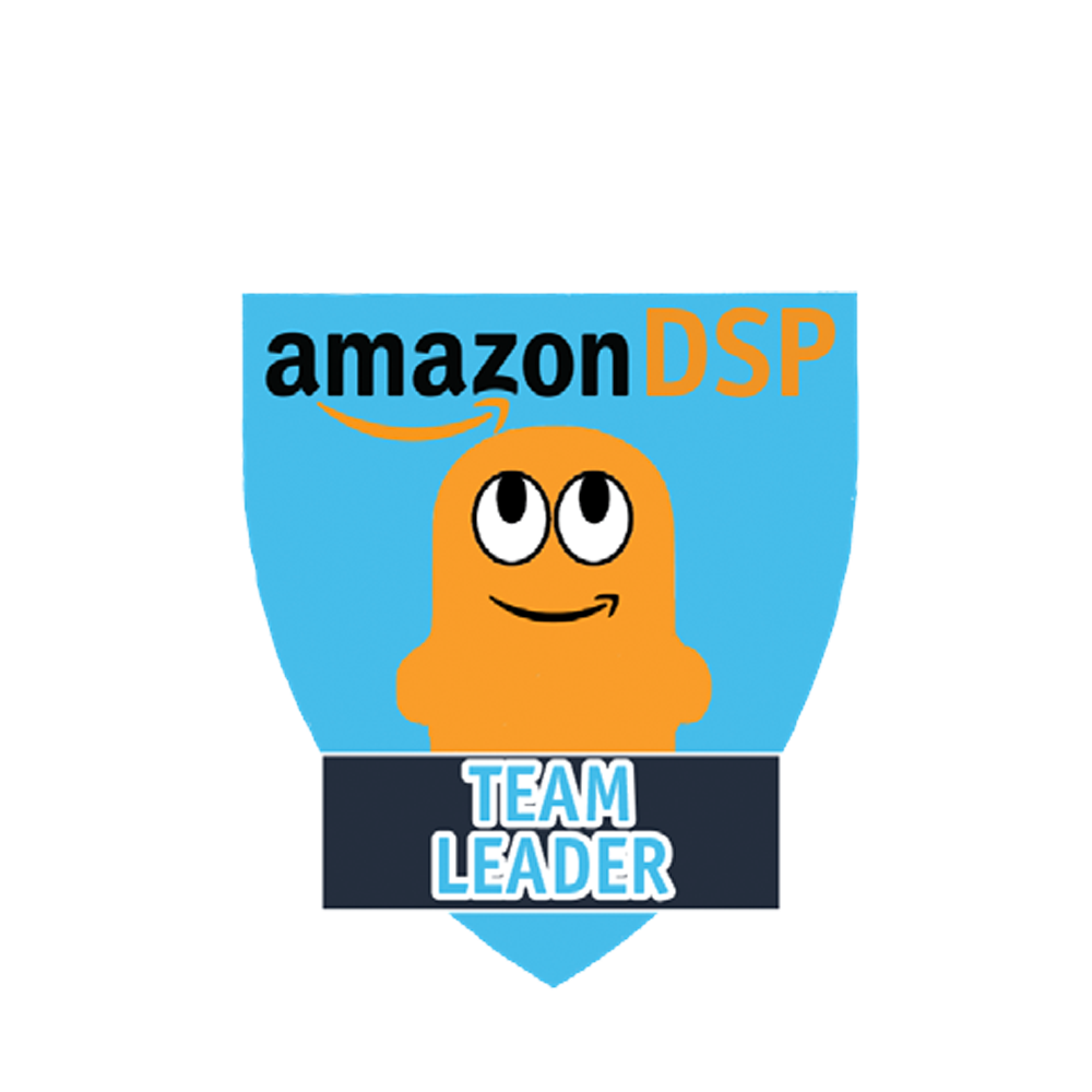 Amazon DSP Peccy Titles - Team Leader Pin